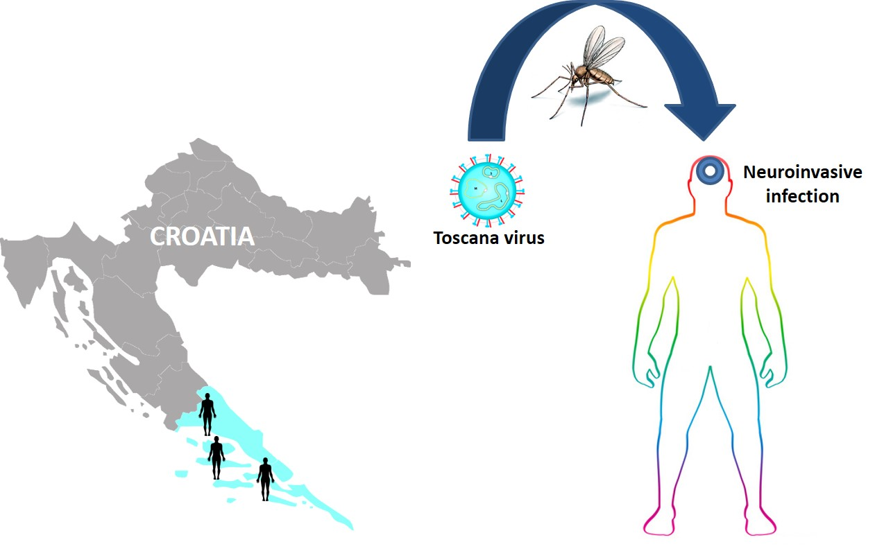Virus Toscana