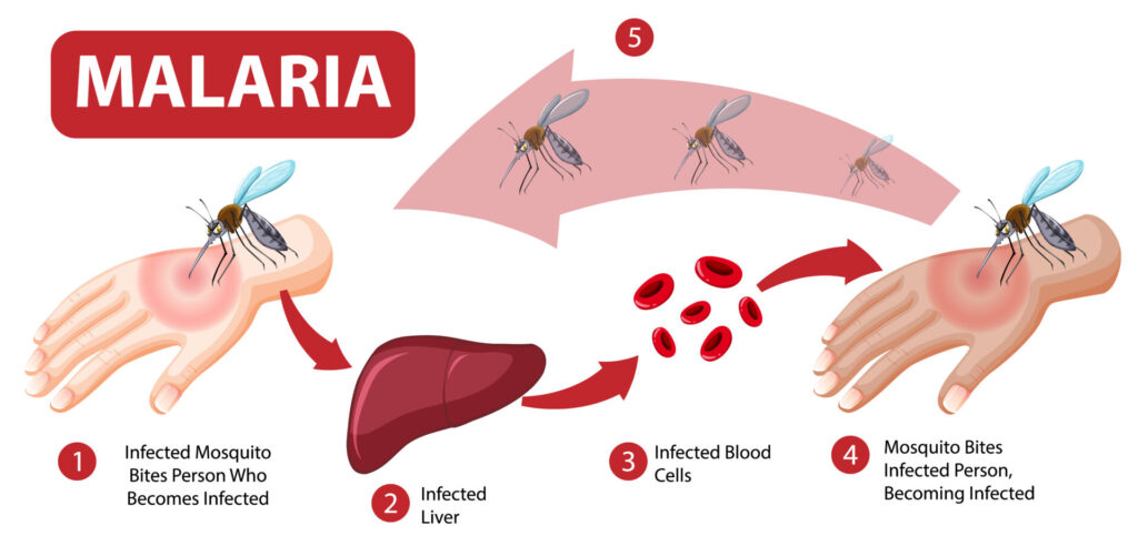 Malaria