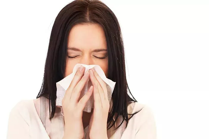 Flu dan Influenza