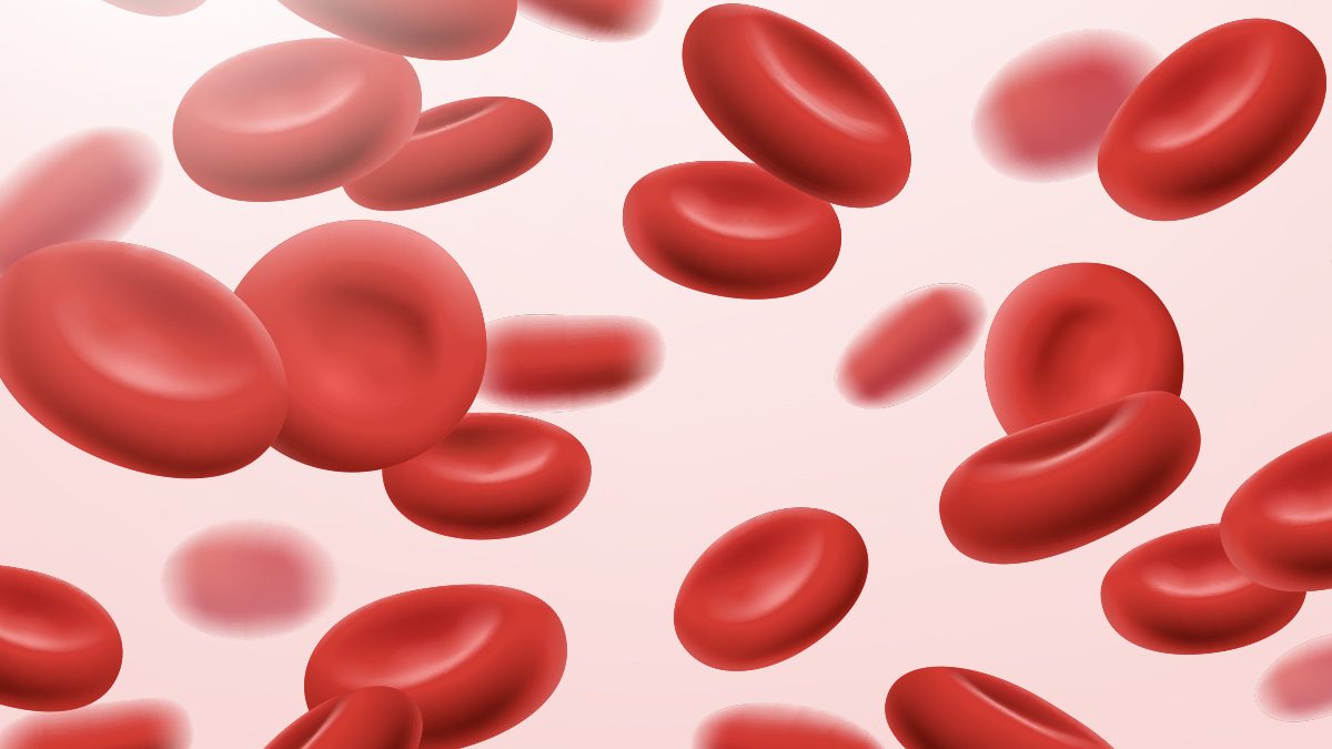 Hemoglobin Rendah: Strategi Gaya Hidup Sehat untuk Pemulihan