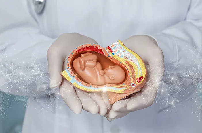 Kesehatan Organ Reproduksi