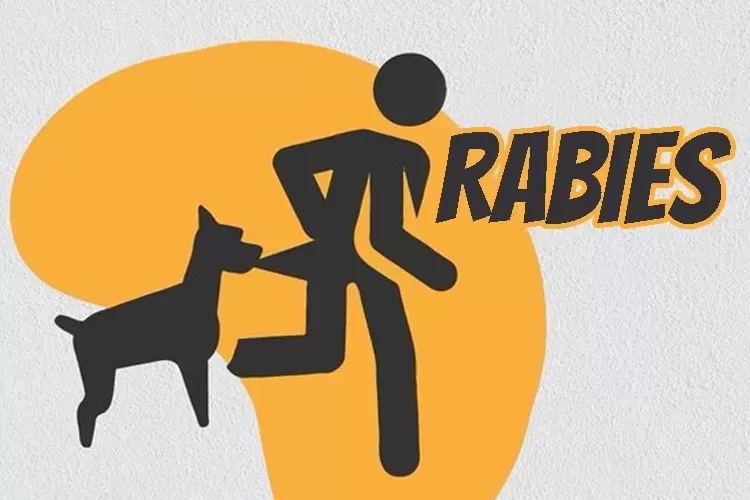 Pencegahan Penyakit Rabies: Pentingnya Vaksinasi Hewan