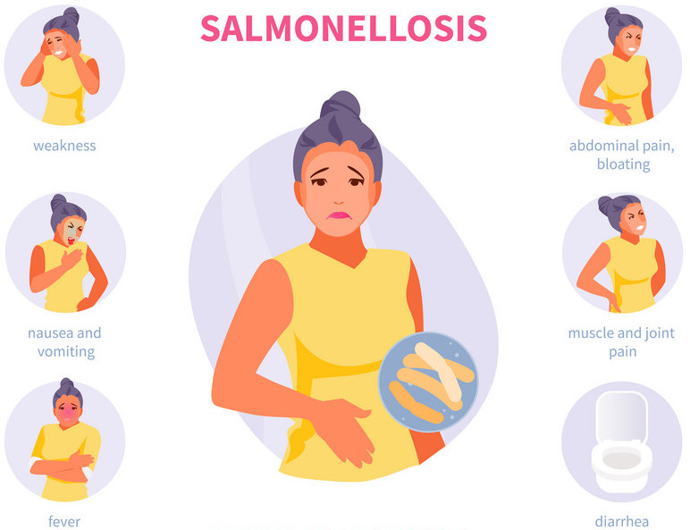 Virus Salmonella
