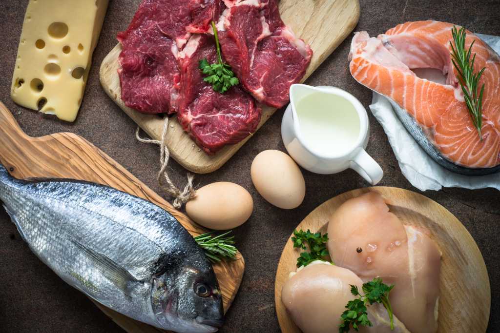 Protein Hewani