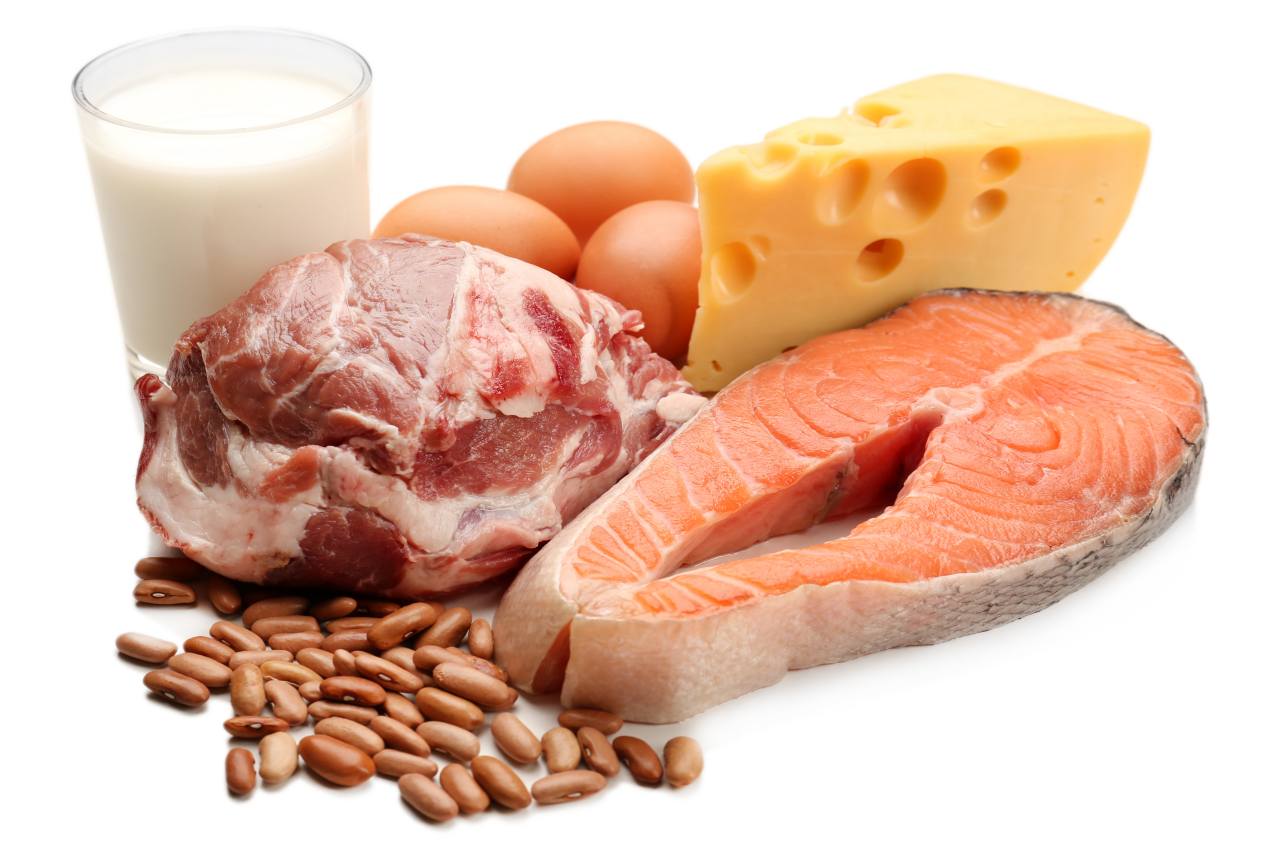 Protein Hewani