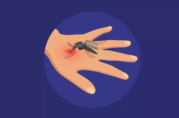 Virus Zika: Cara Penularan dan Pencegahannya