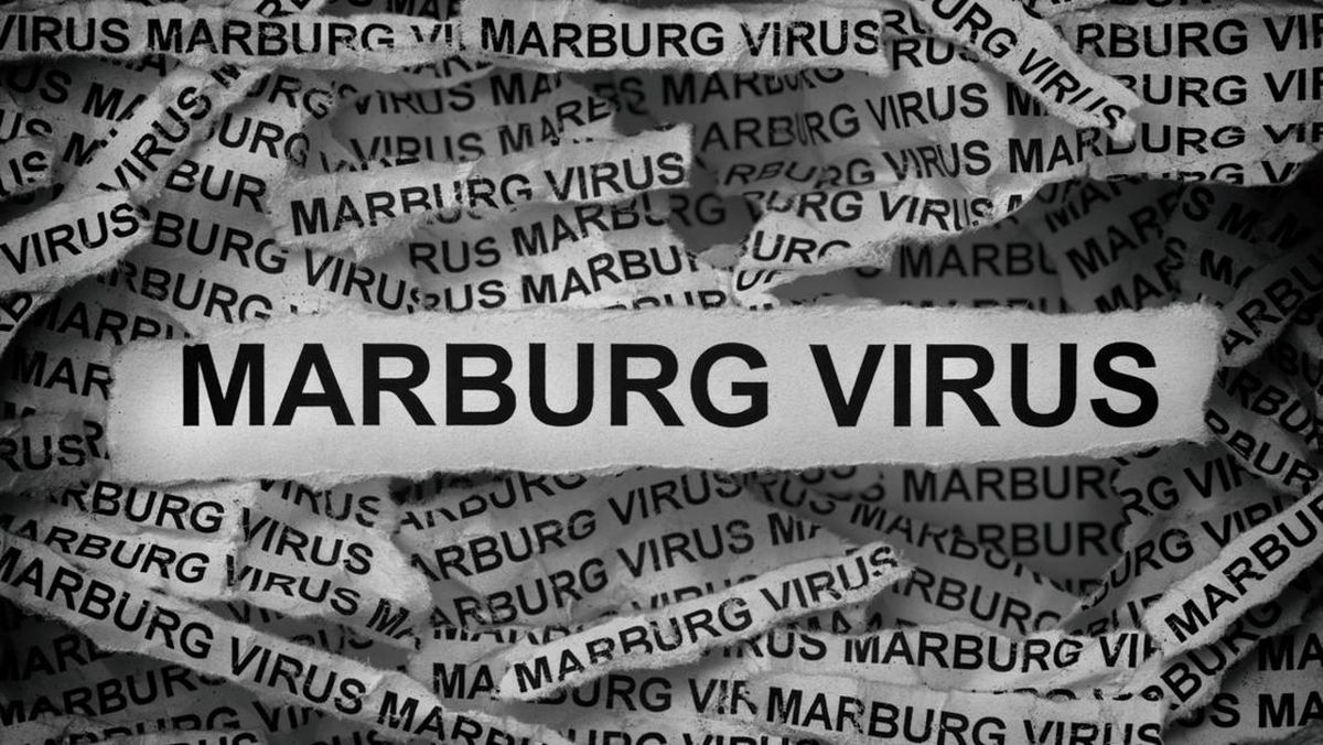 Virus Marburg