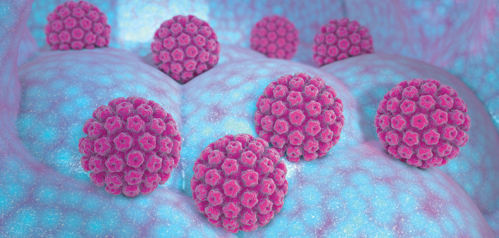 Virus Papilloma