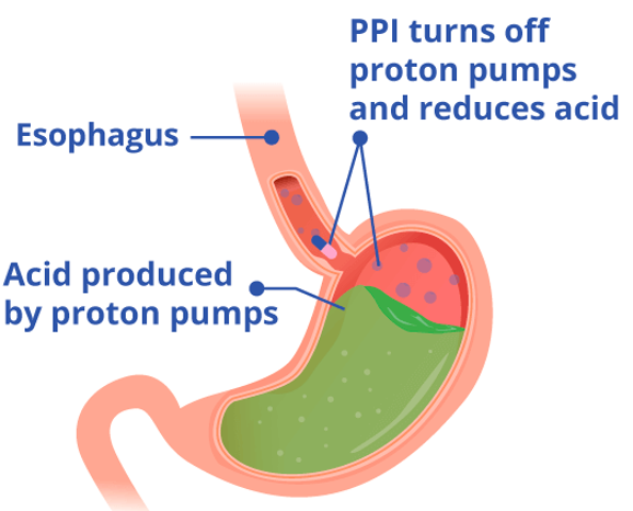 Inhibitor Proton