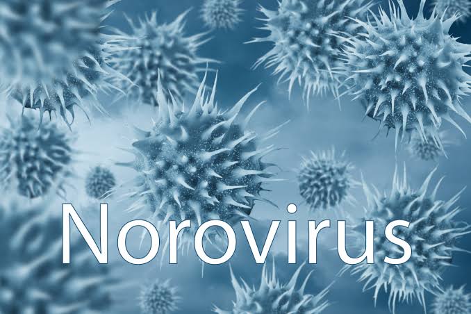 Norovirus