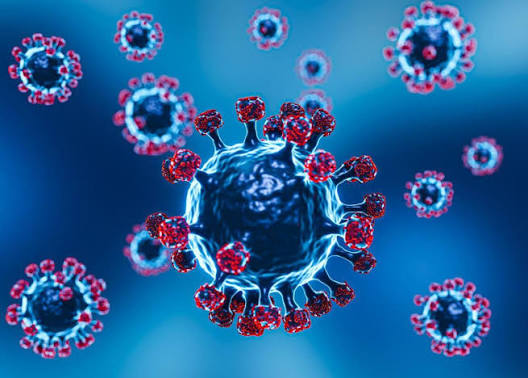 Parainfluenza