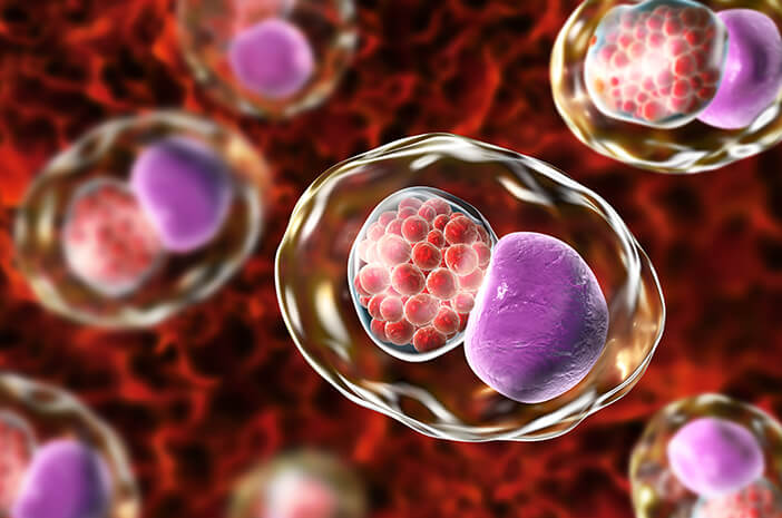 Chlamydia Trachomatis