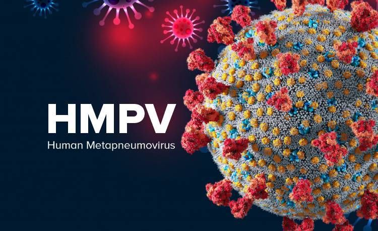 Human Metapneumovirus