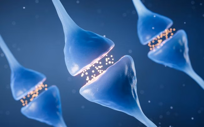 Neurotransmiter
