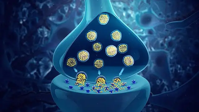Neurotransmiter