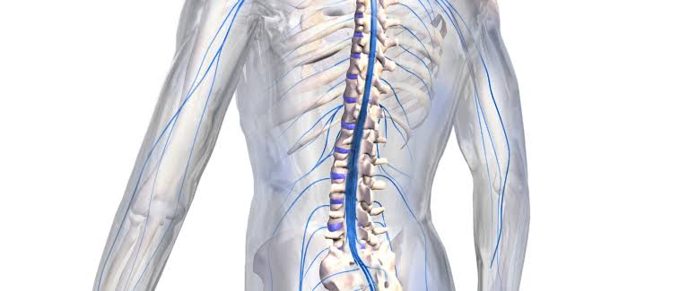 Quadriplegia